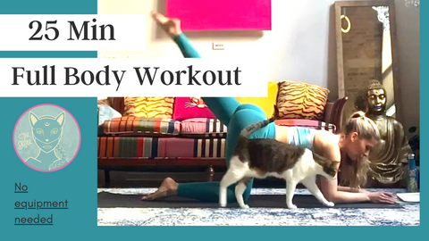 25 Min Full Body Workout