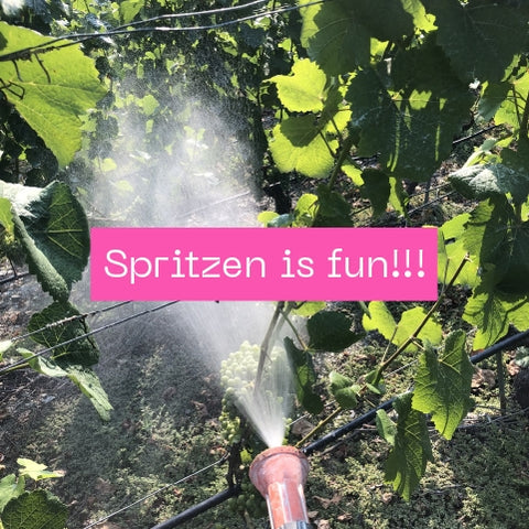 Spritzen is fun