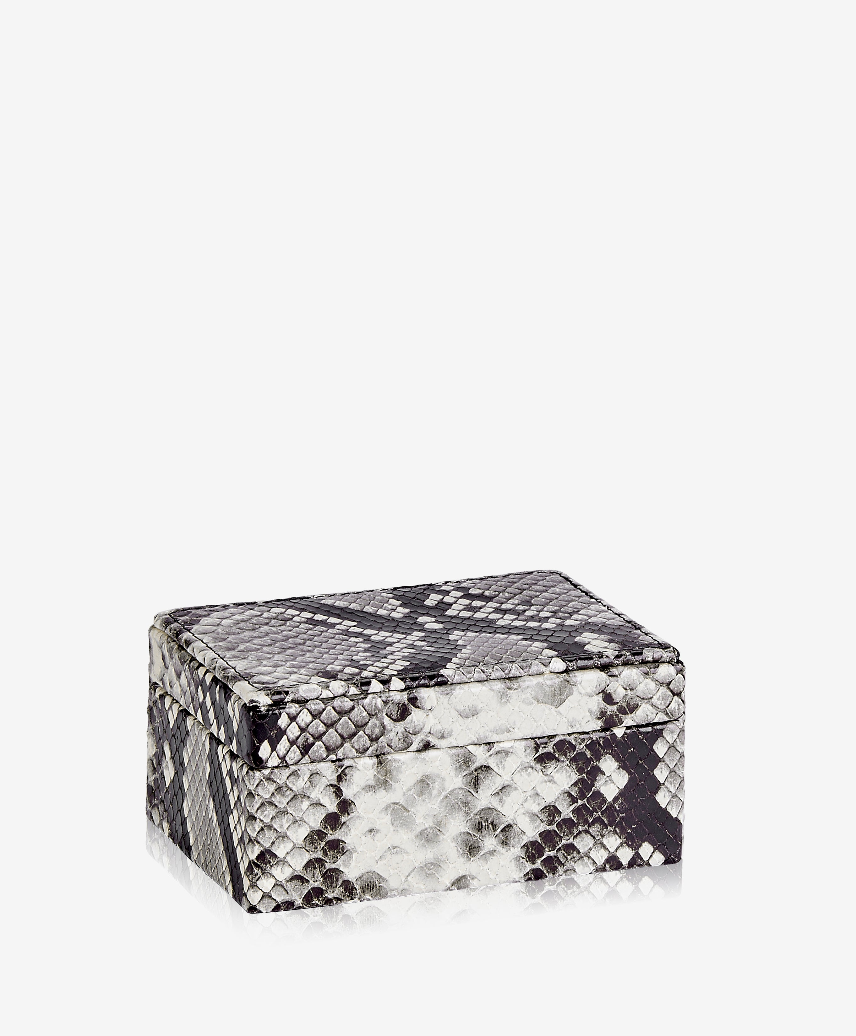 GiGi New York Small Box Natural Italian Printed Python