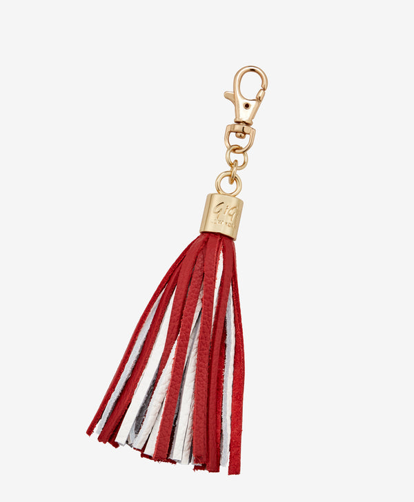 Colorful Tassel Bag Charms