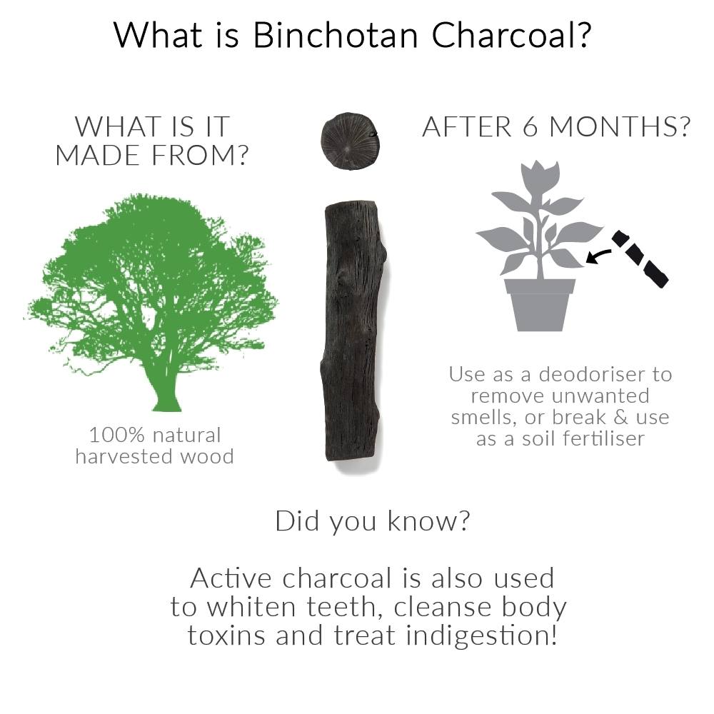 What is Binchotan Charcoal Infographic