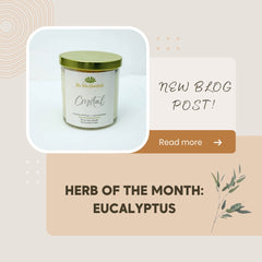 Eucalyptus herb of the month