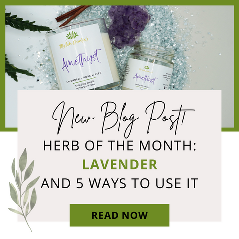 new blog post: lavender and 5 ways to use it