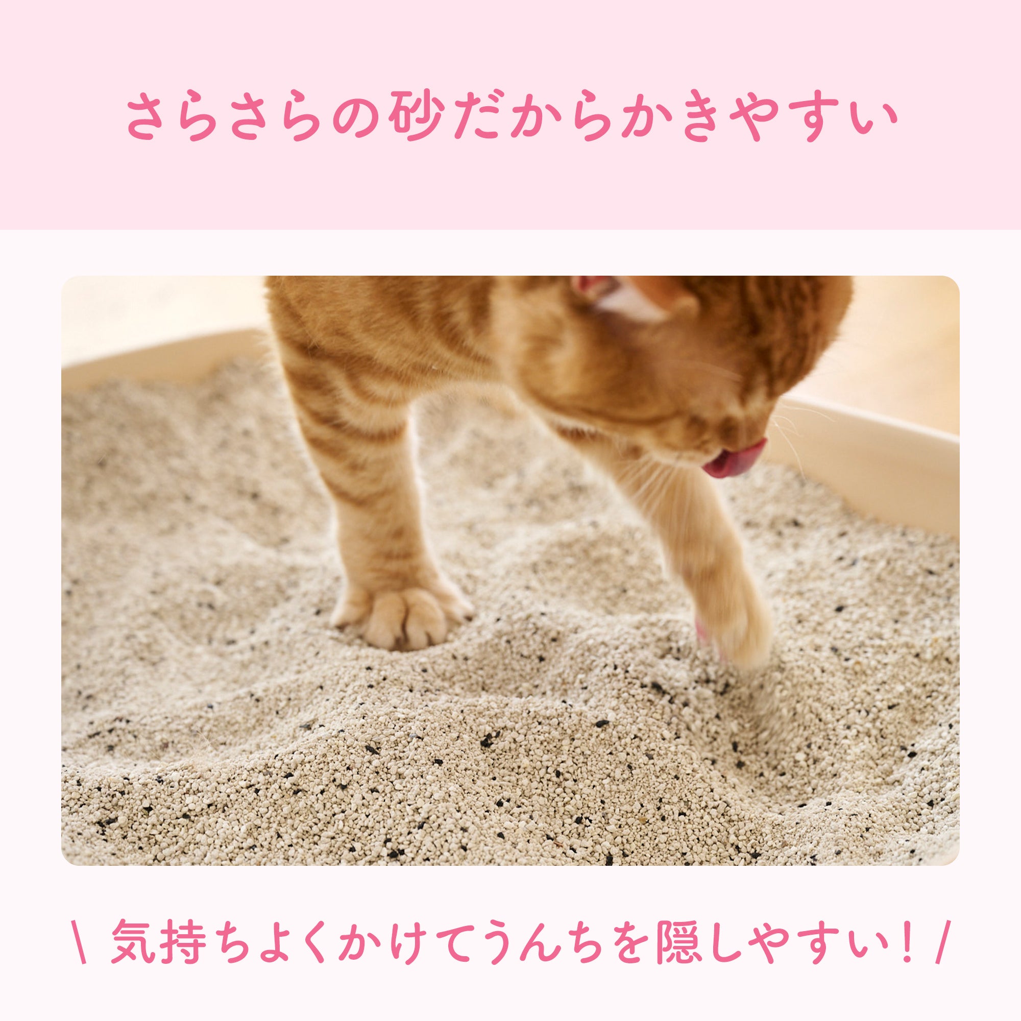 キミおもい カチッと固まる ネコ砂