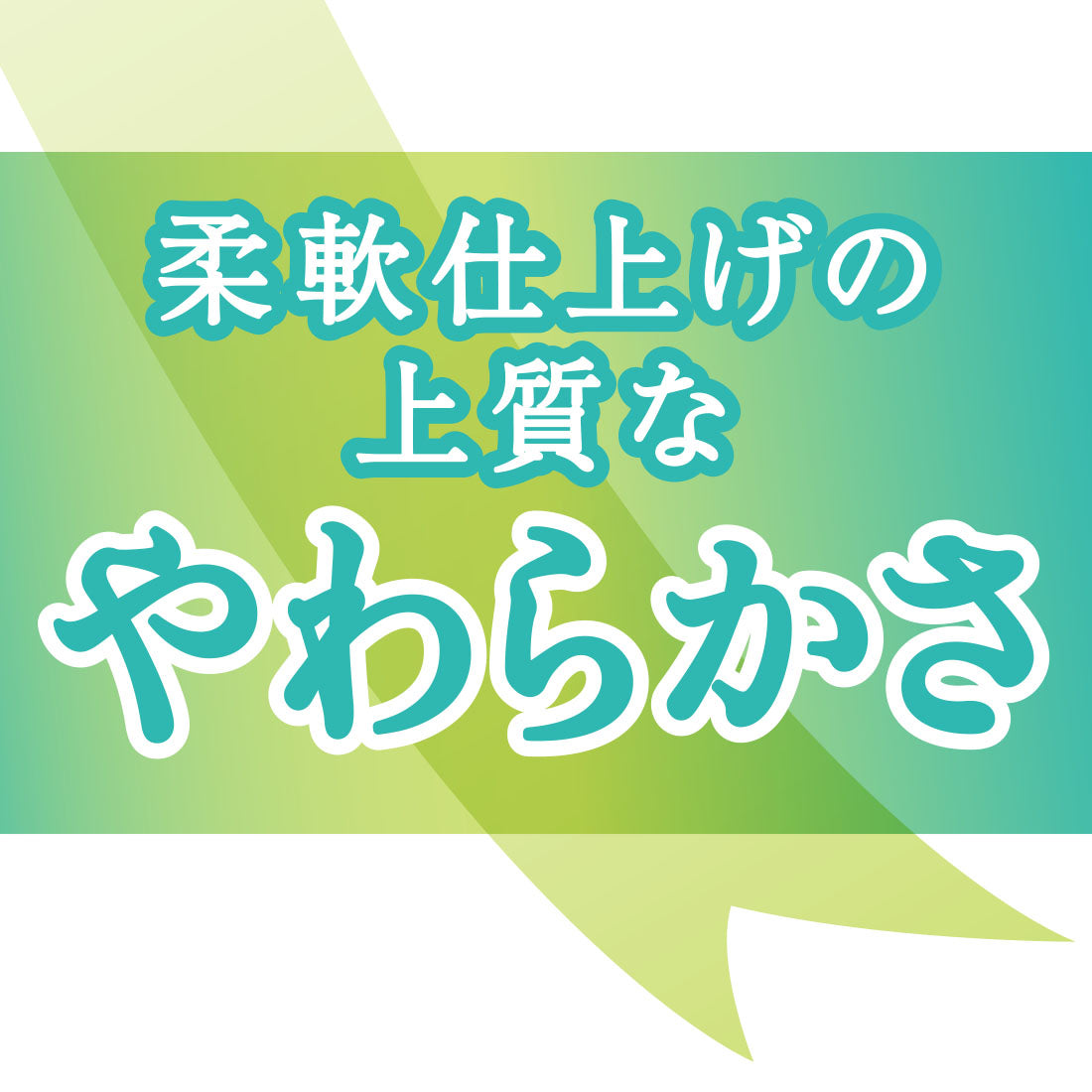 エリエールトイレットティシュー（ダブル）12ロール – エリエール