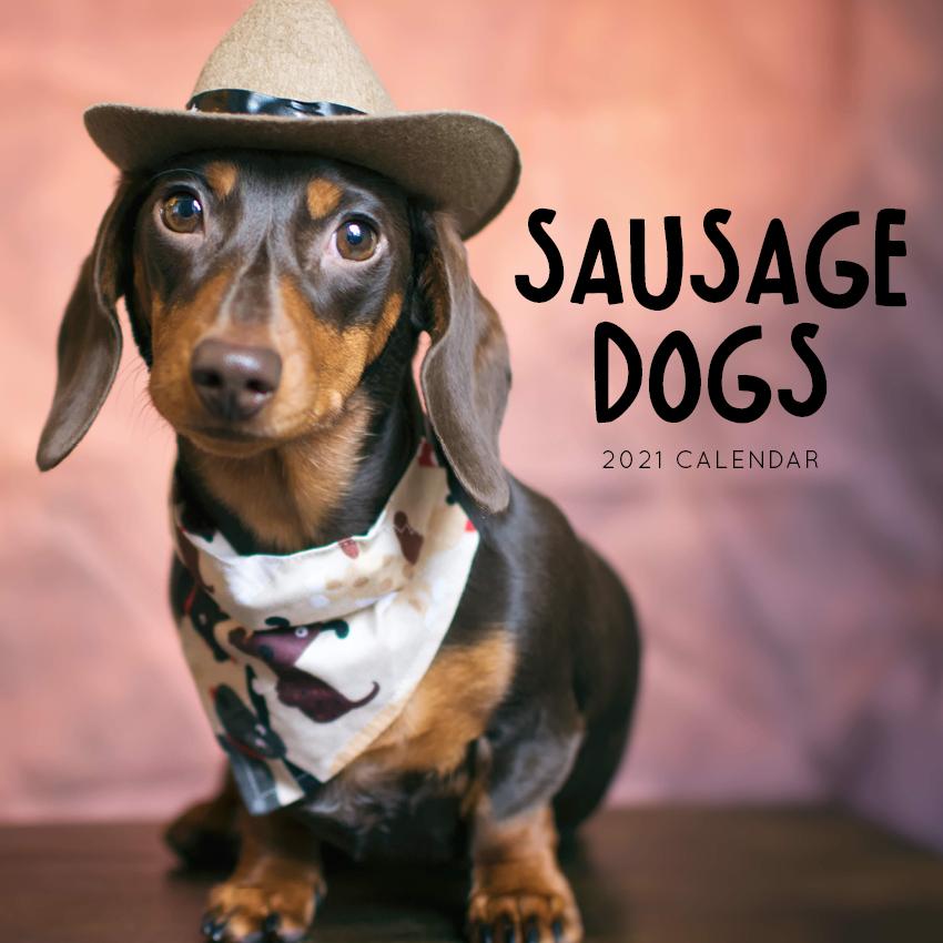 Paper Pocket Sausage Dogs 2021 Calendar
