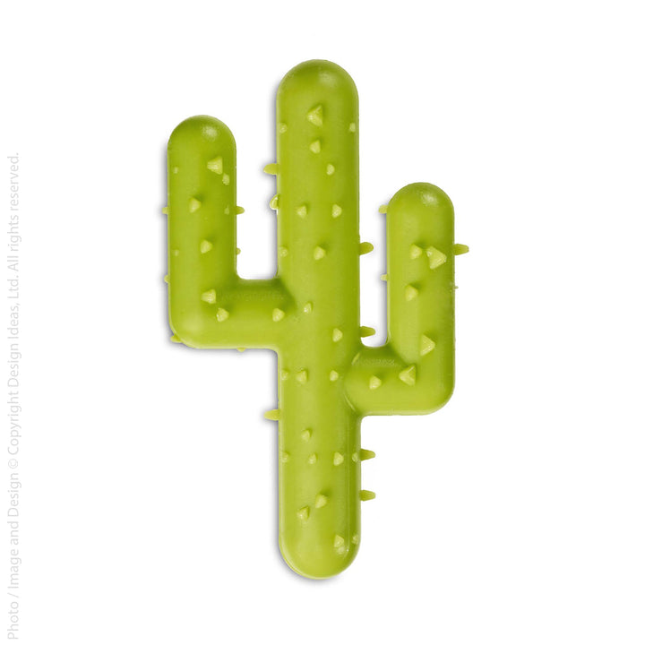 Magic cactus™ Kit – Design Ideas