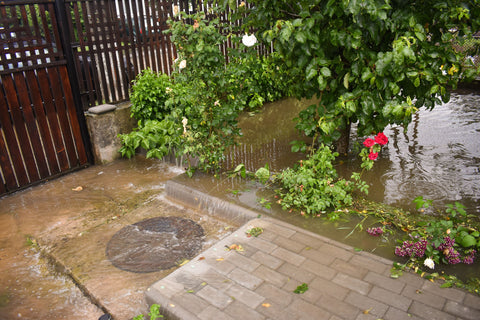 Flooded backyard