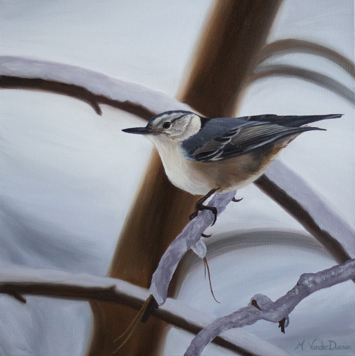 Nuthatch by Marianne Vander Dussen