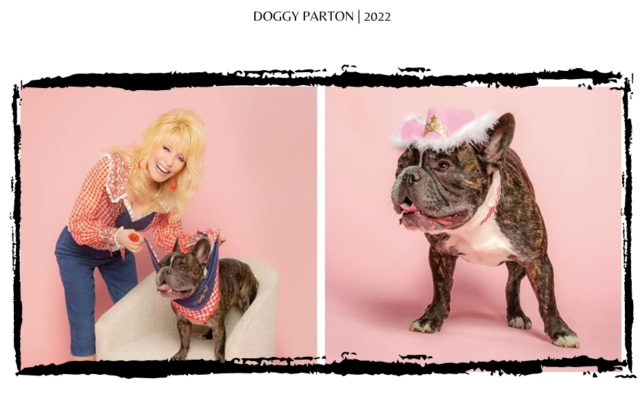 Dogs In Fashion | Doggy Parton Collection