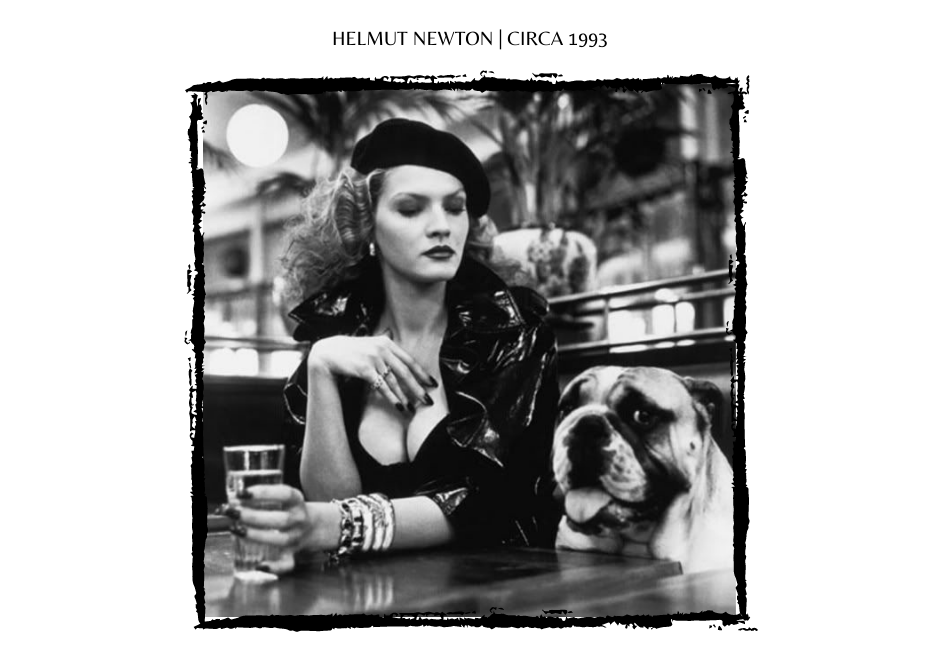 Helmut Newton Dogs in Fashion