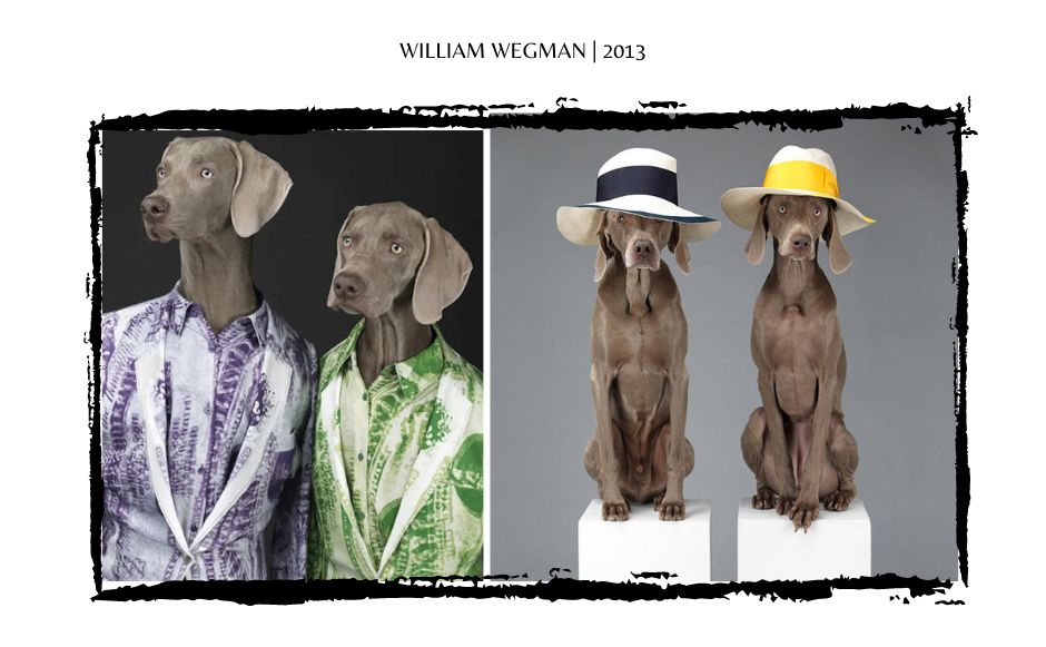 William Wegman Dogs through fashion history