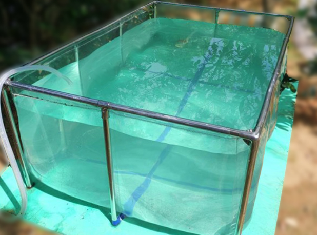 75-320 Gallons Clear Portable Koi Show Tank for Breeding Aquaponic Aqu