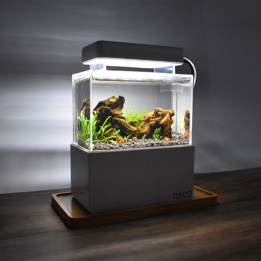 reparatie Onderhandelen Brood Mini Aquarium Fish Tank Set for Desktop | MKAquarium – MK Aquarium Store