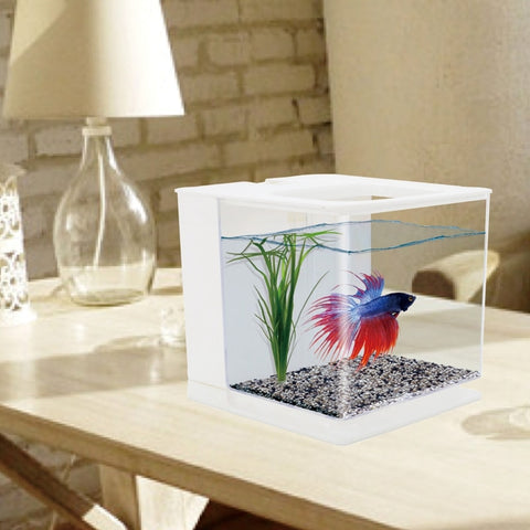 pretty betta fish tanks