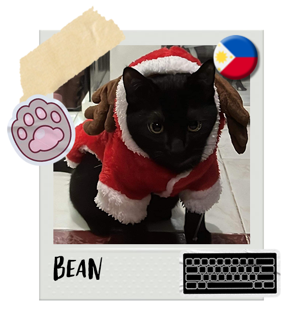 Cat-Global_Bean.png__PID:2da4e858-6182-42ec-b6d3-cb26bea0235f