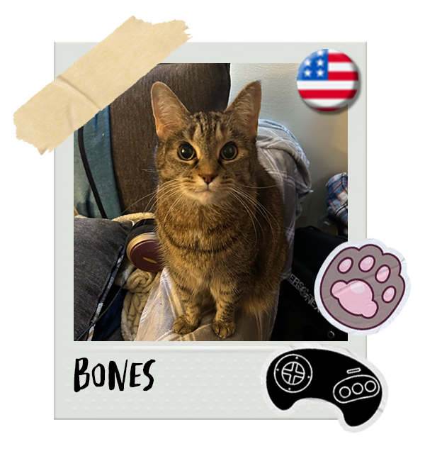 Cat-Global_Bones.png__PID:066a784f-f9b0-4605-bab0-8d67853a2ec8
