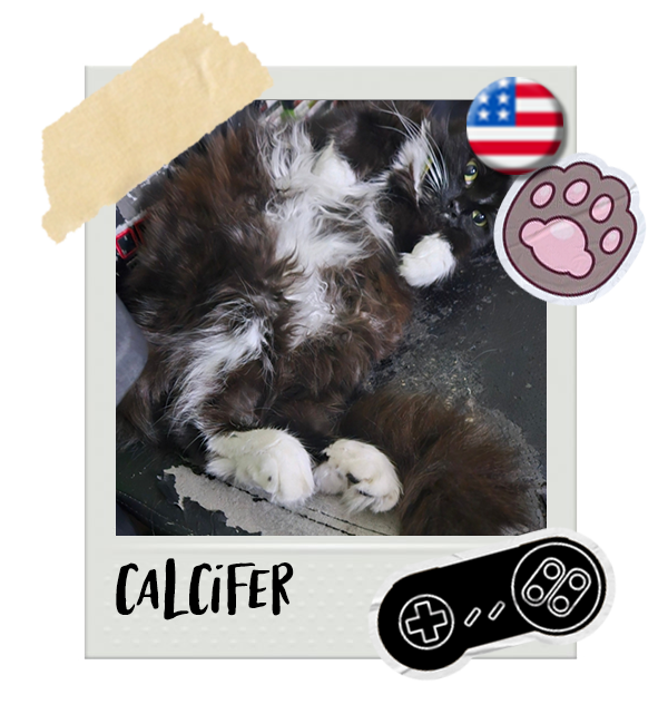 Cat-Global_Calcifer.png__PID:023b0e95-0f43-45d0-a993-af6df6a52cf5