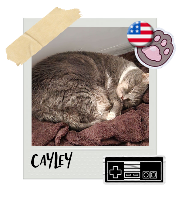 Cat-Global_Cayley.png__PID:89b5a933-92e2-41f5-9ad8-7514775e3c19