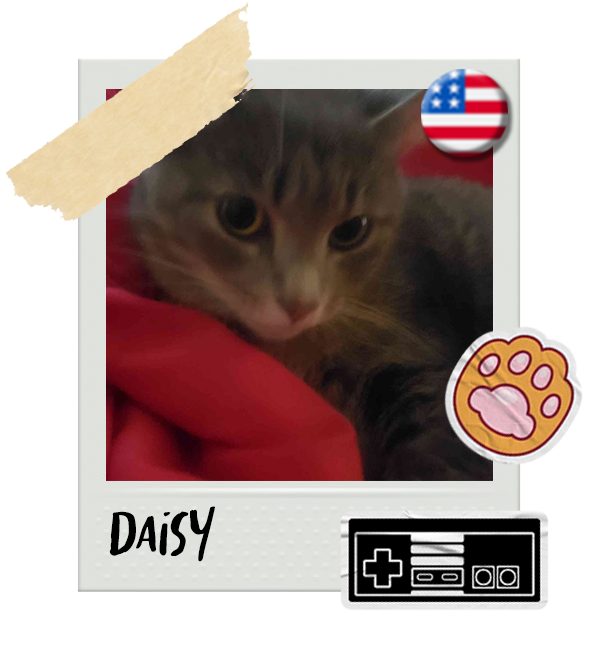 Cat-Global_Daisy (USA).png__PID:7f7486e0-7d8e-4221-9d99-3f759b9ca601