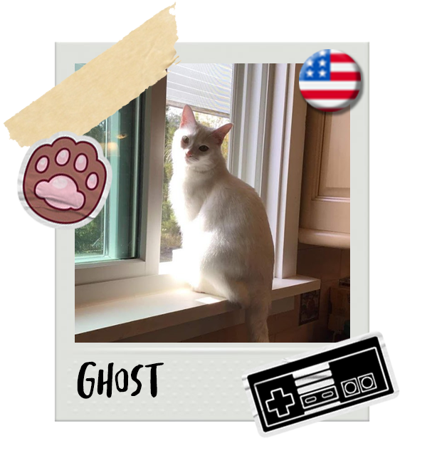 Cat-Global_Ghost.png__PID:0482ce46-a0f5-4451-a0fd-4815055daa7c