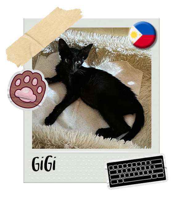 Cat-Global_Gigi.png__PID:f5a4fc76-ea54-4563-ad95-d2c17aed4b1e