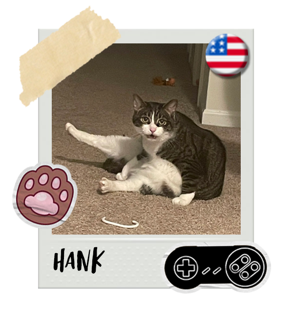 Cat-Global_Hank.png__PID:1c982910-da34-469d-959e-36a280c5548b