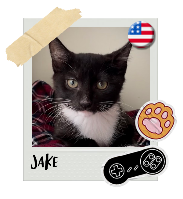 Cat-Global_Jake.png__PID:76431def-f0bf-4dee-99b2-38477b7c96e2