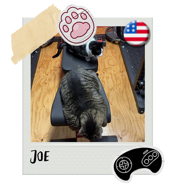 Cat-Global_Joe.png__PID:aa865fa3-bc35-40e2-9b01-6c10d26eed41