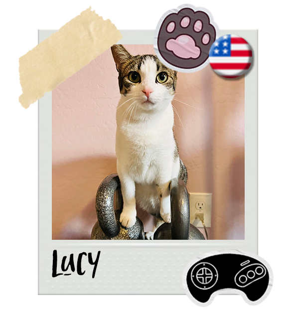 Cat-Global_Lucy.png__PID:db568d19-1798-41e4-9d04-48d9a1a434bd