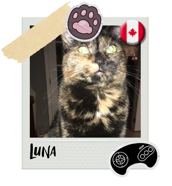 Cat-Global_Luna (Canada).png__PID:b5a93392-e291-459a-9875-14775e3c195b