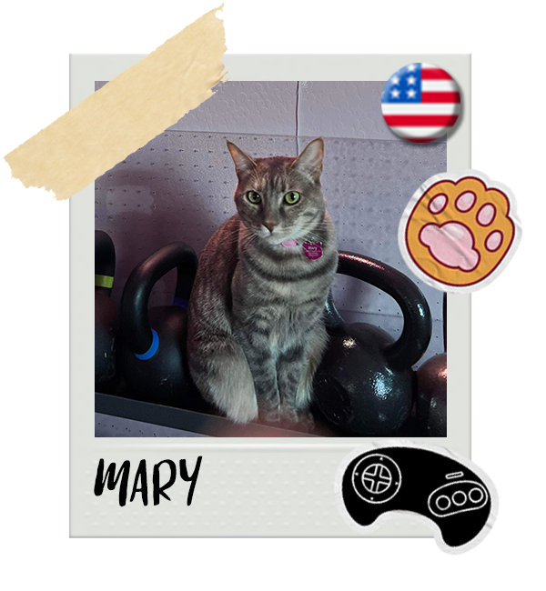 Cat-Global_Mary.png__PID:f8451d37-3a66-4f44-8a3b-321808788999