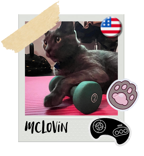 Cat-Global_McLovin.png__PID:8d191798-61e4-4d04-88d9-a1a434bd7324