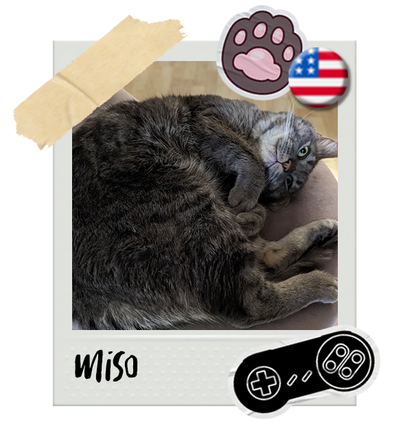 Cat-Global_Miso.png__PID:ad780482-ce46-40f5-8451-60fd4815055d