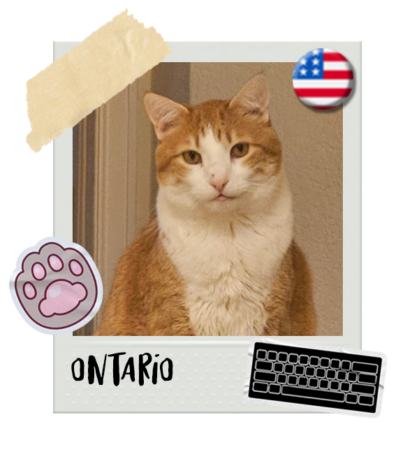 Cat-Global_Ontario.png__PID:cacc066a-784f-49b0-8605-3ab08d67853a