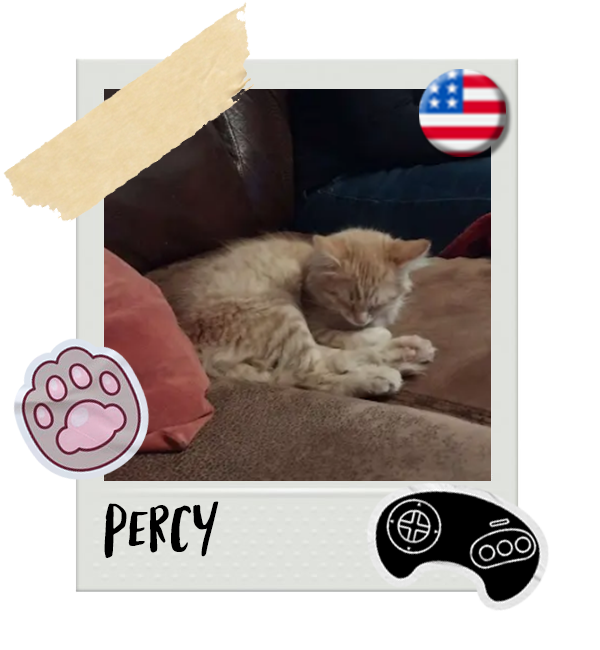 Cat-Global_Percy.png__PID:c75a7103-ec1e-41b7-b92c-4e6192438893