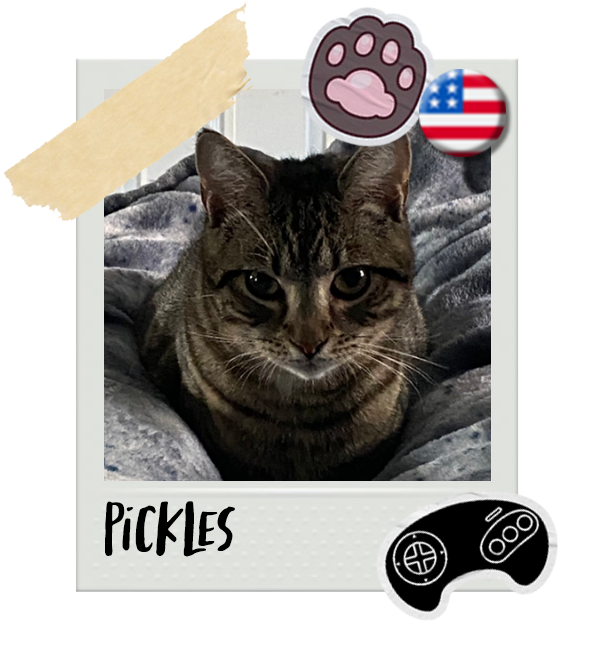 Cat-Global_Pickles.png__PID:1deff0bf-ddee-49b2-b847-7b7c96e2cc9d