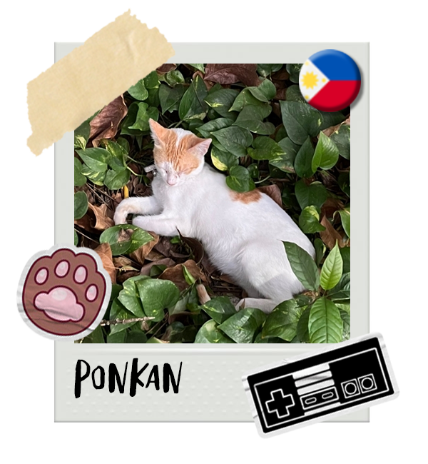 Cat-Global_Ponkan.png__PID:f0abc8be-1d3c-44b1-babc-1e543e075a84