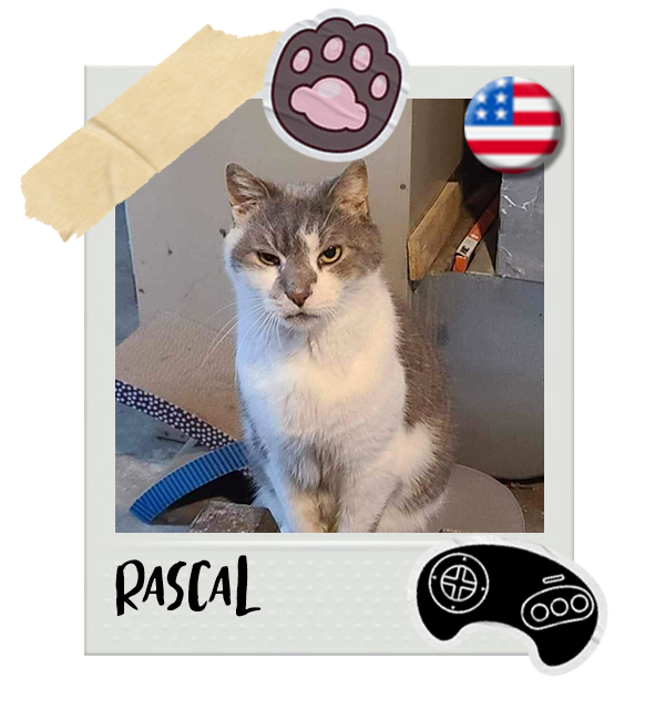 Cat-Global_Rascal.png__PID:3b0e950f-43c5-40e9-93af-6df6a52cf5b7