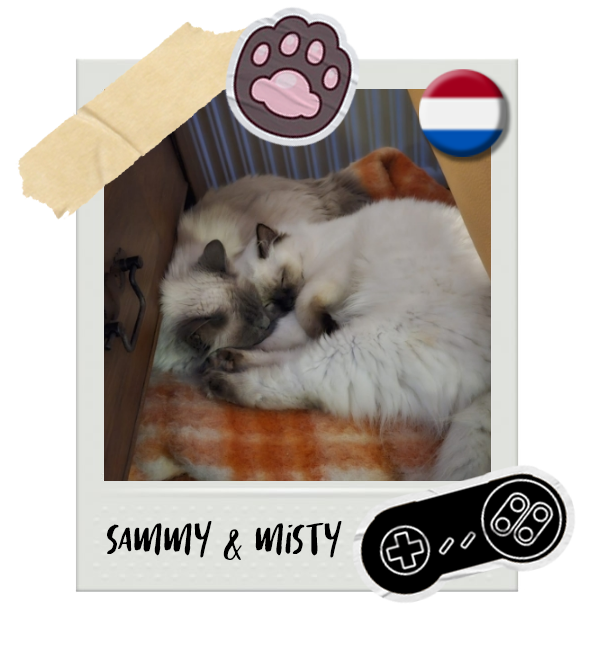 Cat-Global_Sammy-Misty.png__PID:15e4f172-1662-47c3-aedc-8ec5430da337