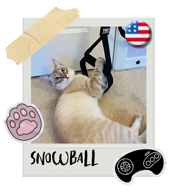 Cat-Global_Snowball.png__PID:23e1db56-8d19-4798-a1e4-dd0448d9a1a4