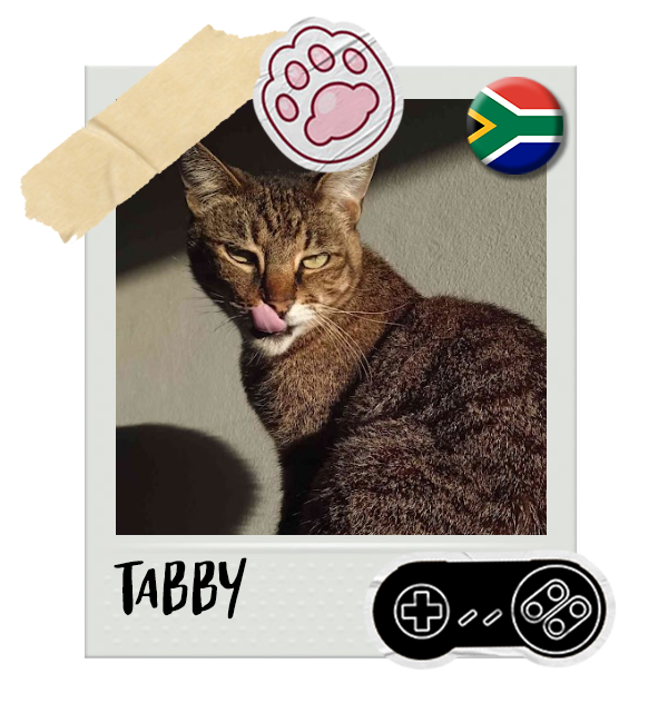 Cat-Global_Tabby.png__PID:bbd419ae-4758-42b4-9930-0811bc6f9f2a