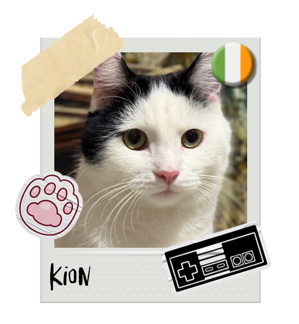 Kion.png__PID:b5eabda2-03b8-4bc3-b9eb-5a455a3eb908