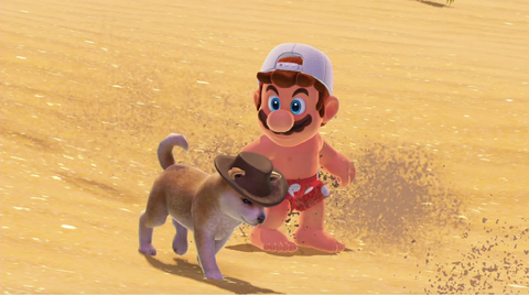 Mario in a bathing suit, walking along the sand with a puppy.