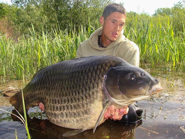 38kg Lac du Der Carp Karpfen Big Fish Boilie