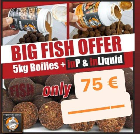 Hinweis auf ein besonders Angebot Big Fish für Big Carp