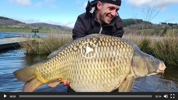 cold water boilies im Winter nutzen Vieo dazu mit Scopex Boilies