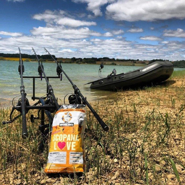 Süße Scopex Ananas Boilies vor Karpfenruten am See