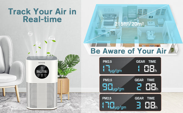 What a KOIOS HQKJ-50 Air Purifier will Do for You and Your Home?