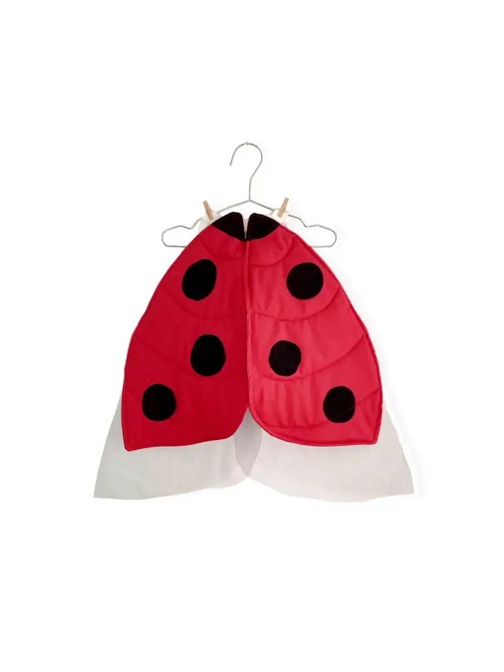 Ladybug Wings